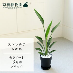 ySSN[|zXg`A/Xg`AEMl@6 5GyZA[g@ubNzyϗtA/CeA//i`/A/蕨/yV/ʔ/~hTCY/lCiz