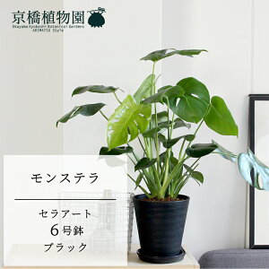 y5P5{IzySSN[|zXe yZA[g6z5GyVv X Ȃ ~hTCY GL]`bN I j zj JXj Vzj ]j j 