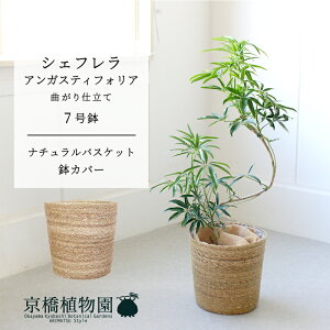 y25P5{Izyi`oXPbgJo[zVFtEAKXeBtHA@Ȃ@7y~hTCY ϗtA A u _ CeA  lC zj JX