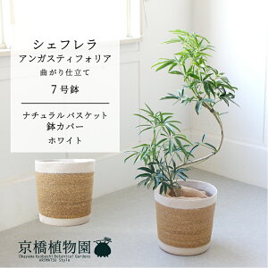 yi`oXPbgJo[FzCgzVFtEAKXeBtHA@Ȃ@7y~hTCY ϗtA A u _ CeA  lC zj JXj 