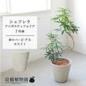 y1P7{IzyrAXJo[FzCgzVFtEAKXeBtHA@Ȃ@7y~hTCY ϗtA A u _ CeA  lC zj JXj 