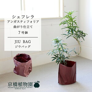 y30P5{IzyJIU BAGiWEobOjzVFtEAKXeBtHA@Ȃ@7y~hTCY ϗtA A u _ CeA  lC zj JXj Vzj