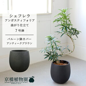 y1P7{Izyo[Jo[FAeB[NuEzVFtEAKXeBtHA@Ȃ@7y~hTCY ϗtA A u _ CeA  lC z