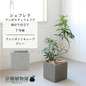 y1P7{IzyNC|bgL[uJo[FO[zVFtEAKXeBtHA@Ȃ@7y~hTCY ϗtA A u _ CeA  lC zj