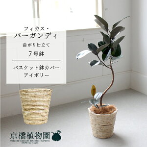 y1P7{IzyoXPbgJo[FAC{[ztBJXEo[KfB@Ȃ@7y~hTCY ϗtA A u _ CeA  lC zj JXj Vz