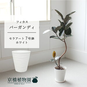 y10P5{IzySSN[|zyZA[gFzCgztBJXEo[KfB@Ȃ@7y~hTCY/u/j/Vzj/Ă₷/ϗtA/V/ubN/zy^