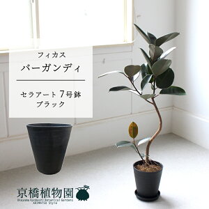 y5P5{IzySSN[|zyZA[gFubNztBJXEo[KfB@Ȃ@7y~hTCY/u/j/Vzj/Ă₷/ϗtA/V/ubN/zy^