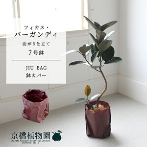 y30P5{IzyJIU BAGiWEobOjztBJXEo[KfB@Ȃ@7y~hTCY ϗtA A u _ CeA  lC zj JXj Vzj ]j