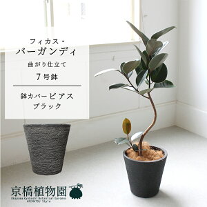 y1P7{IzyrAXJo[FubNztBJXEo[KfB@Ȃ@7y~hTCY ϗtA A u _ CeA  lC zj JXj Vzj ]