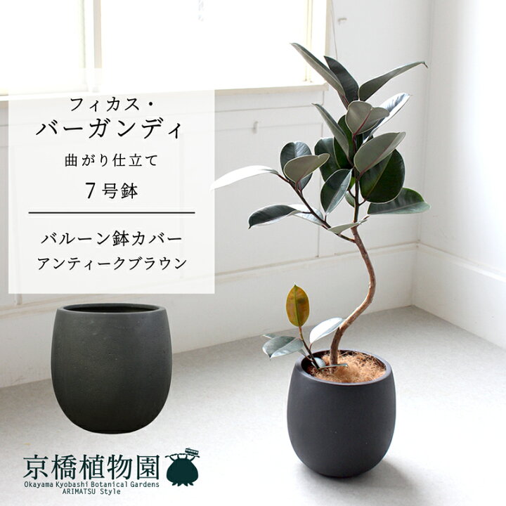 楽天市場】【スターターセット付】【バルーン鉢カバー：アンティーク 