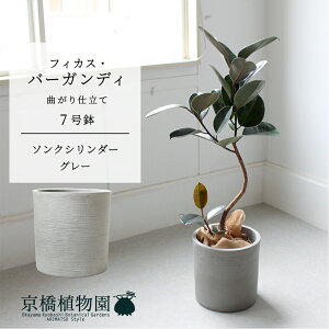 y1P7{Izy\NV_[FEH[O[ztBJXEo[KfB@Ȃ@7y~hTCY ϗtA A u _ CeA  lC zj JXj V