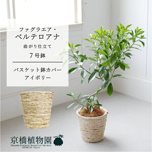 y1P7{IzyoXPbgJo[FAC{[zt@OGAExeAi@Ȃ@7y~hTCY ϗtA A u _ CeA  lC zj JXj 