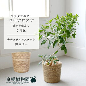 y1P7{Izyi`oXPbgJo[zt@OGAExeAi@Ȃ@7y~hTCY ϗtA A u _ CeA  lC zj JXj V