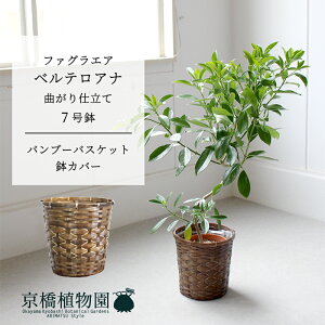 y1P7{Izyou[oXPbgJo[zt@OGAExeAi@Ȃ@7y~hTCY ϗtA A u _ CeA  lC zj JXj Vz