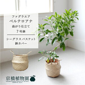 y1P7{IzyV[OXoXPbgzt@OGAExeAi@Ȃ@7y~hTCY ϗtA A u _ CeA  lC zj JXj Vzj ]