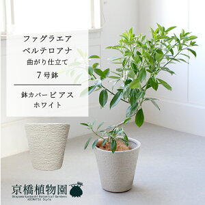 y30P5{IzyrAXJo[FzCgzt@OGAExeAi@Ȃ@7y~hTCY ϗtA A u _ CeA  lC zj JXj Vzj