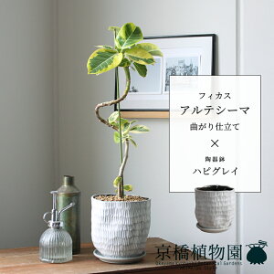 y30P5{Izy}\N[|LztBJXEAeV[}@ȂynsOCzyX[TCY/󂯎Mt/픫/A//O[/~[~z4G