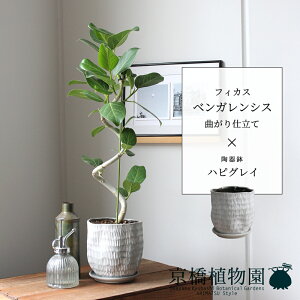 y25P5{IzyubNtCf[N[|LIztBJXExKVX@ȂynsOCzyX[TCY/󂯎Mt/픫/A//O[/~[~z4G