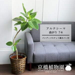 y30P5{Izyou[oXPbgJo[ztBJXEAeV[}7y~hTCY/CeA/j/JXj/zj/Vzj/Mtg/v[g/Ă₷/ϗtA/yV/