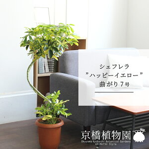 y30P5{IzVFtenbs[CG[f@Ȃ7yzyzRJ|bNzyhtJmLzy~hTCY/u/j/Vzj/Ă₷/ϗtAzy^z