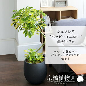 ySSN[|zyo[Jo[FAeB[NuEzVFtenbs[CG[f@Ȃ7yzyzRJ|bNzyhtJmLzy~hTCY/u