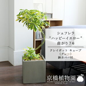 y5P5{IzySSN[|zyNC|bgL[uJo[FO[zVFthnbs[CG[hȂ 7y~hTCY/CeA/j/JXj/Vzj/Mtg/