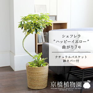 y5P5{IzySSN[|zyi`oXPbgJo[zVFtenbs[CG[f@Ȃ7yzyzRJ|bNzyhtJmLzy~hTCY/