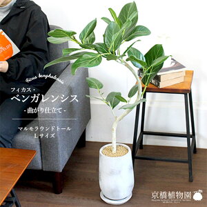 y1P7{Izy}Ehg[LTCYzxKVXyȂzy󂯎Mtzyȃ^z