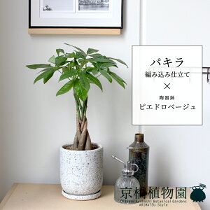 y25P5{IzyubNtCf[N[|LIzpL ҂ݍݎdāysGhx[WzyX[TCY/󂯎Mt/픫/A//O[/~[~z5G