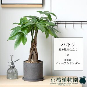 pL ҂ݍݎdāyCIjAV_[zyX[TCY/󂯎Mt/픫/A//O[/ubN/~[~z5G