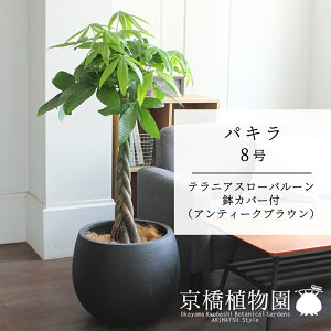 pL 8y[o[Jo[/AeB[NuEzy傫߃TCY̕҂ݍݎdāzy~hTCYz