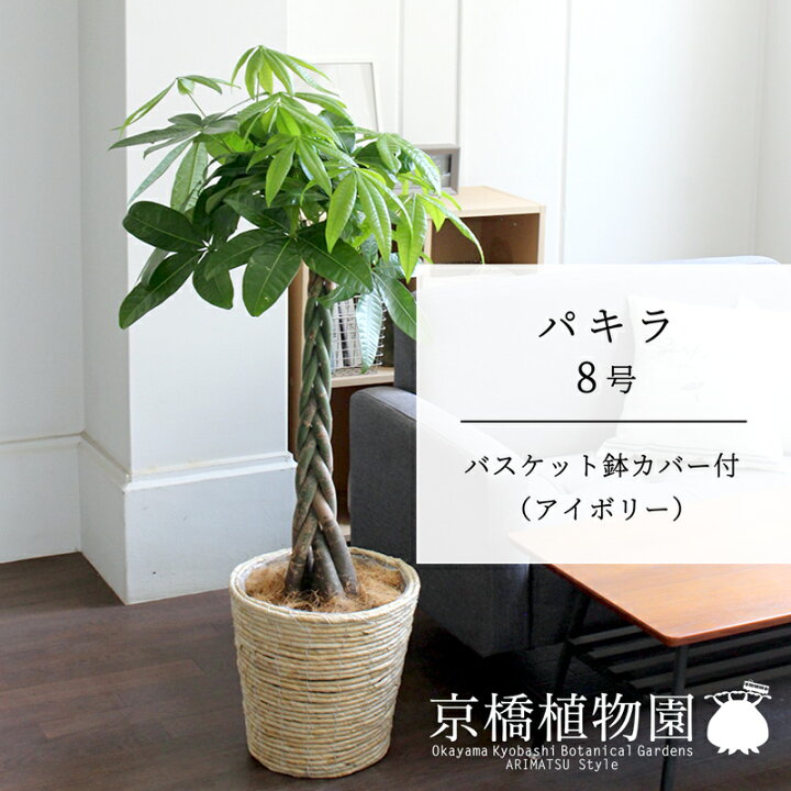 楽天市場】【10日はP5倍！】【SSクーポンあり】【バスケット鉢カバー 