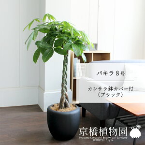 ySSN[|zyJTJo[FubNzpL 8y~hTCY/u/Jo[Zbg/j/JXj/JƏj/Vzj/Ă₷/ϗtA/҂ݍ݁z