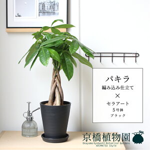 pL ҂ݍݎdāyZA[gF5/ubNzy󂯎Mt/X[TCY/vX`bN/A//~[~z5G