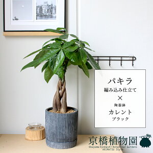 pL ҂ݍݎdāyJg/ubNzyX[TCY/󂯎Mt/픫/A//ubN/~[~z5G