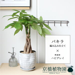 y1P7{IzpL ҂ݍݎdāynsOCzyX[TCY/󂯎Mt/픫/A//O[/~[~z5G