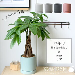 yubNtCf[N[|LIzyׂJ[zpL ҂ݍݎd×픫EAy󂯎Mtzy}bgJ[/zCg/ubN/O[/uE/u[O[///DF/