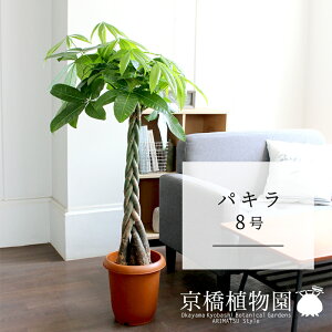 y30P5{IzpL 8y傫߃TCY̕҂ݍݎdāzy~hTCYz