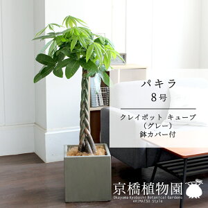 y5P5{IzySSN[|zpL 8yNC|bgL[uJo[t/O[zy傫߃TCY̕҂ݍݎdāzy~hTCYz