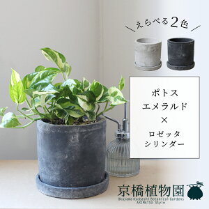 y5P5{IzySSN[|zyׂJ[z|gXEGh×[b^V_[y󂯎MtzyzCg/ubN///Zg/^/X[TCY/ϗtAzpot