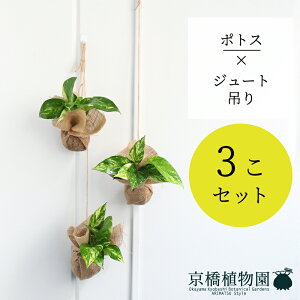 yubNtCf[N[|LIzy݂ďz|gX×W[g ݂ 3ZbgyX[TCY////Mtg/v[g/j/V//ϗt/Az