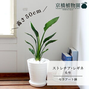 y1P7{zyS50cmTCYzXg`AEMliMiGj 6yZA[g/zCgz 󂯎Mt/Xg`A/~hTCY/vX`bN/Ă₷/ɋ/Mtg/v