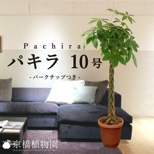 pLi10jo[N`bvty[WTCYz