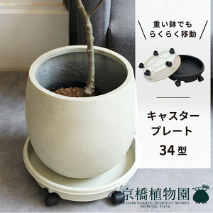 y30P5{IzLX^[v[gy34^zyJo[Ə悹/LX^[t/󂯎M/ϗtAz