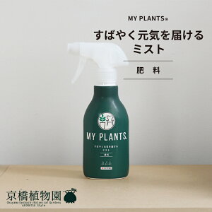 y엿z΂₭C͂~XgyZFw|zyXv[^Cv̔엿z