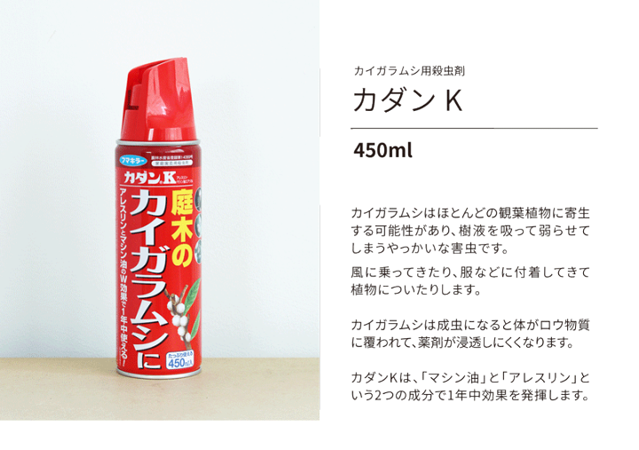 楽天市場】【カイガラムシ用殺虫剤】カダンK / 450ml 楽天市場】【カイガラムシ用殺虫剤】カダンK / 450ml