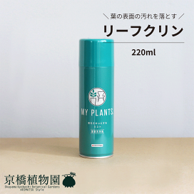 【現品】アルカンタレア・インペリアリス・ルブラ（フリーセア）皇帝アナナス８号E5 現品】アルカンタレア・インペリアリス・ルブラ（フリーセア