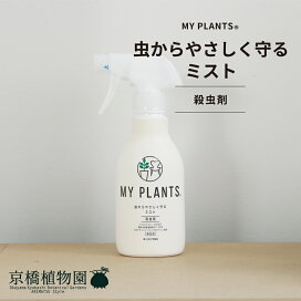 楽天市場】【現品】ビロウヤシ/ビロウ椰子/ジャワビロウ 10号 白鉢 
