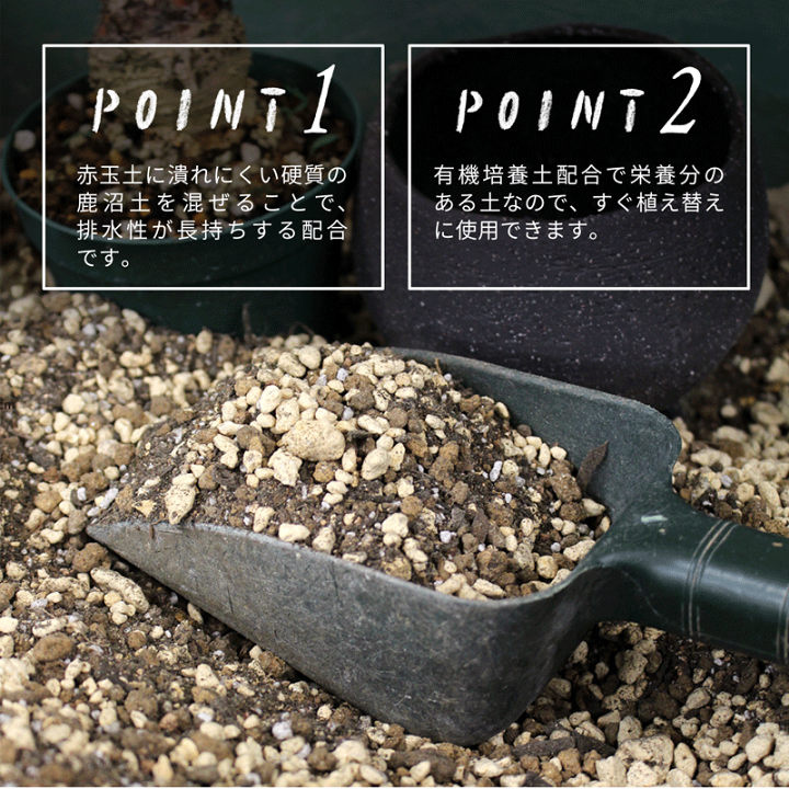 楽天市場 オリジナルブレンド 観葉植物用 用土 ３l 観葉植物 多肉植物の植え替えに 目安 ７号鉢 花のアリマツ楽天市場支店
