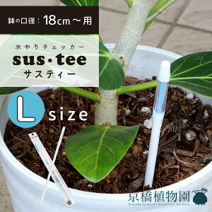 ySSN[|zy7`傫TCYpzsusteeiTXeB[j/LTCYy`FbJ[zyvz
